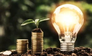 Ampoule allumée et piles de pièces avec une jeune pousse : économie et énergie